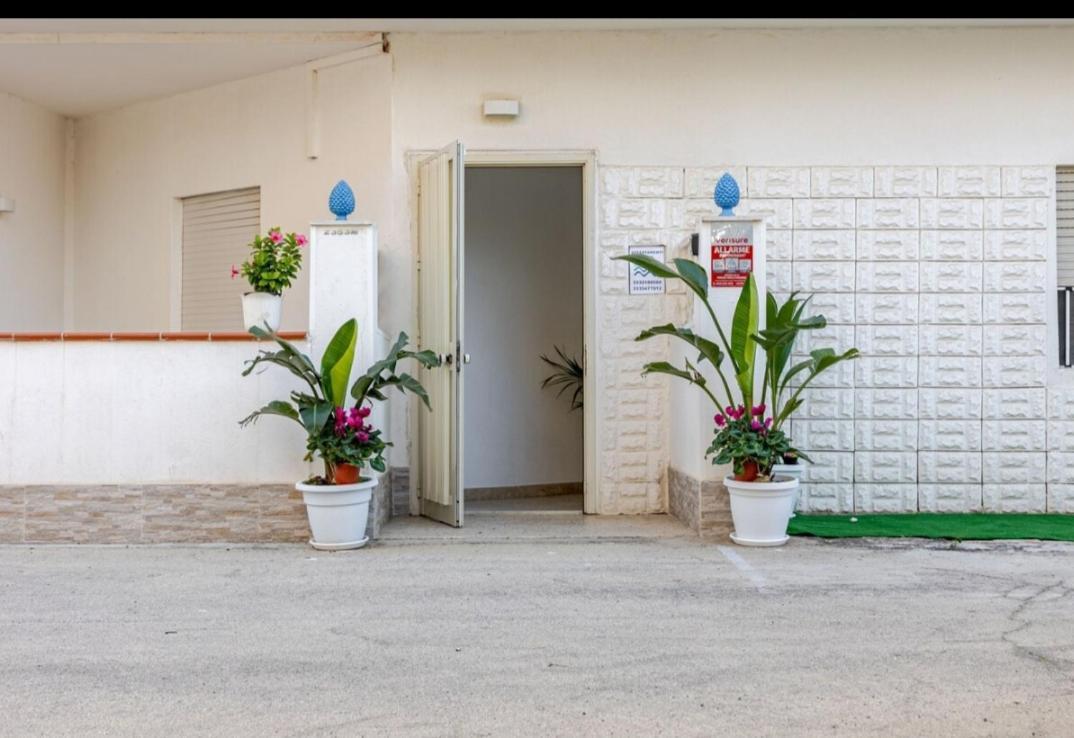 Marea Il Tuo Angolo Di Paradiso In Sicilia Ti Aspetta Prenota Ora E Vivi La Magia Del Mediterraneo Alcamo Marina Εξωτερικό φωτογραφία